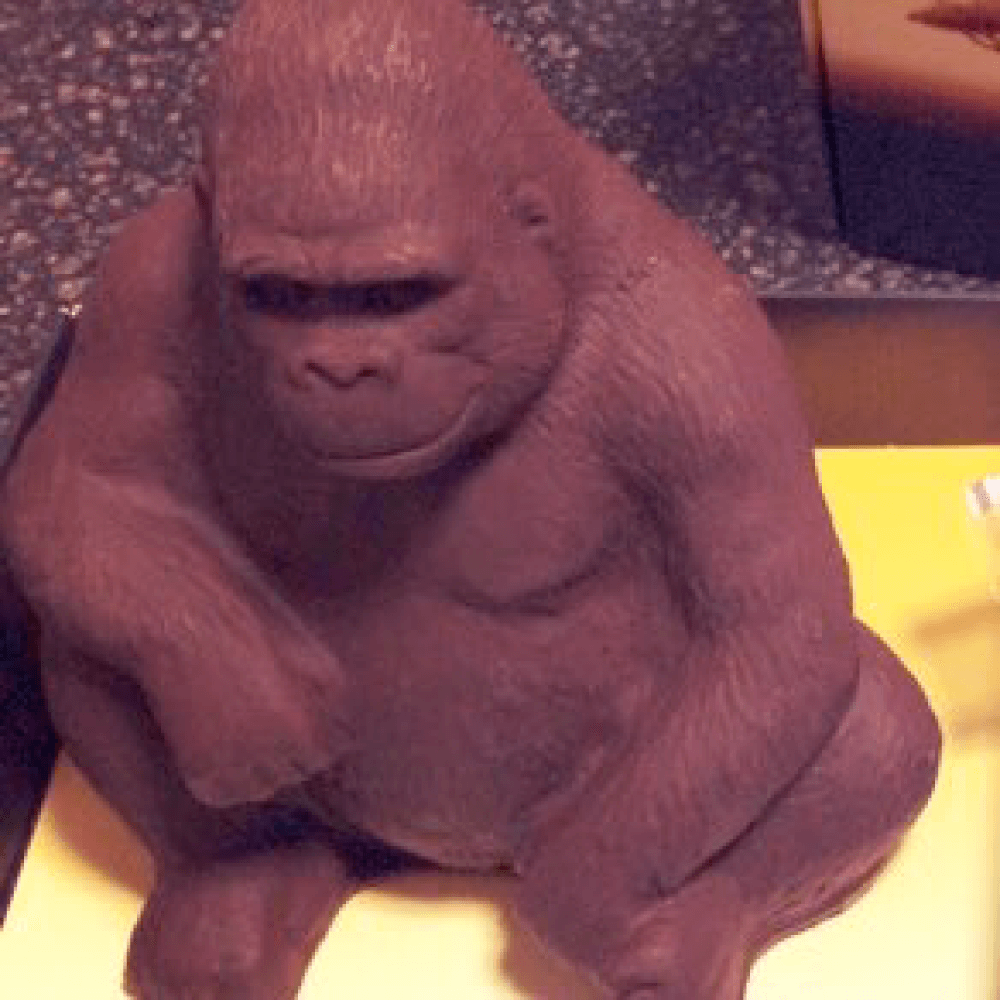 クマさん...クッキー...？
