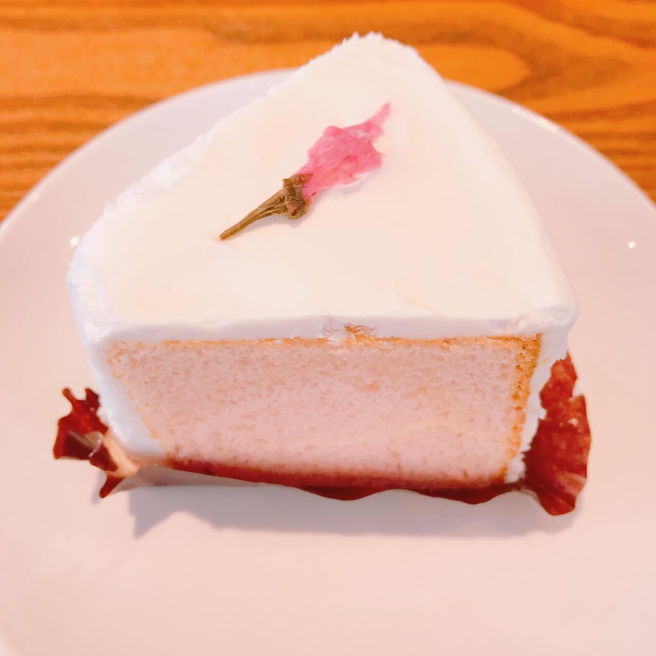 スタバのゆめかわ桜シフォンケーキ♡